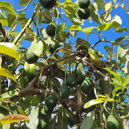 Casa El Granero De Antonio *