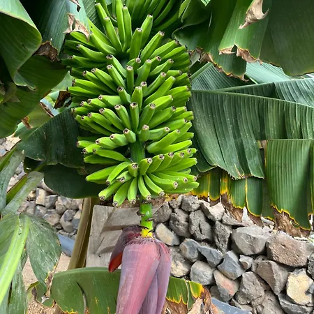 Holiday home Casa El Granero De Antonio