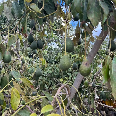 Holiday home Casa El Granero De Antonio *